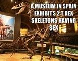 Image result for Fun Facts 2005