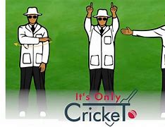 Image result for Cricket Not Allowed Sign