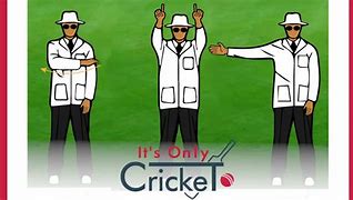 Image result for Umpire Signs in Cricket Funny