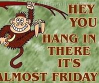 Image result for Hang in There It's Friday