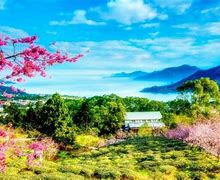 Image result for Taiwan Background