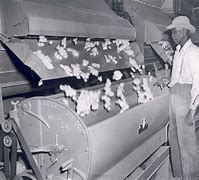 Image result for Man Lift in Cotton Gin