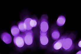 Image result for iPhone 11 Light Purple