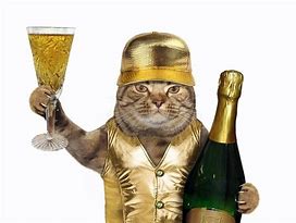 Image result for Gold Cat Meme