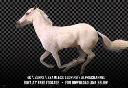 Image result for Horse Gallop Animation