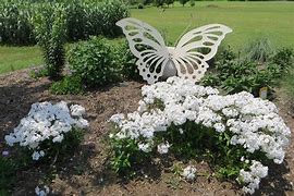 Image result for Phlox Minnie Pearl