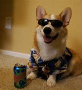 Image result for Cheer Up Dog