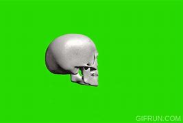 Image result for Skeleton Emoji