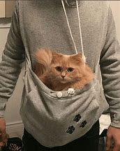 Image result for Shirt with Kitten Pouch