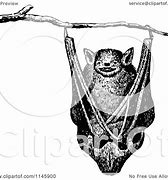 Image result for Vintage Bat Illustration