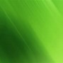 Image result for New and Improved Clip Art Green Background
