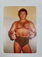 Image result for Vintage WWF Wrestler Sticker