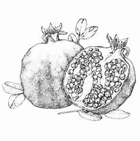 Image result for Pomegranate Art