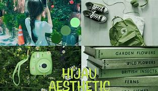 Image result for Aesthetic VSCO Filters