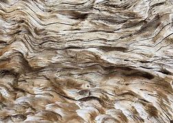 Image result for Wood Skin Natural