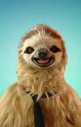 Image result for Cute Smiling Sloth