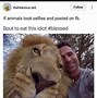 Image result for Funny Selfie Memes