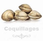 Image result for Coquillages Comestibles