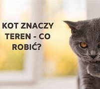 Image result for co_to_znaczy_zwariowany_piątek