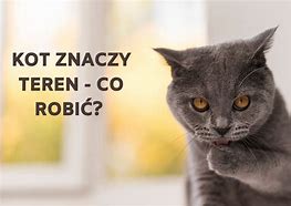Image result for co_to_znaczy_Życia_zawsze_mało