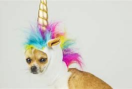 Image result for Funny Magical Unicorn