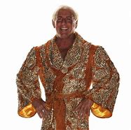 Image result for Ric Flair Boston Bruins