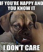 Image result for Funny Memes Grumpy Dog