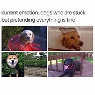 Image result for Pretend Dog Meme