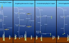 Image result for Dropper Weight Trolling Chart