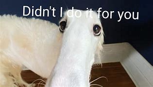 Image result for Didn't I Do It for You Meme