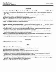 Image result for Insurance Customer Service Resume