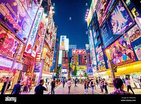 Image result for Electronic City Japan