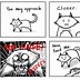 Image result for Hooman Cat Meme