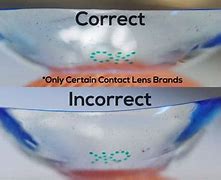 Image result for Shape of a Contact Lens