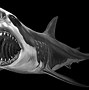 Image result for Great White Shark Sticker