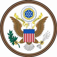 Image result for America Emblem