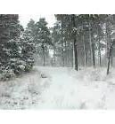 Image result for Flagstaff Winter