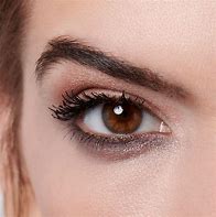 Image result for GOLD EYESHADOW