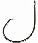 Image result for Mustad Semi Circle Hook