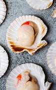 Image result for Scallops vs Mussels
