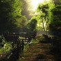 Image result for Amazing Realistic Wallpaper