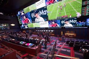 Image result for Circa Casinos in Las Vegas