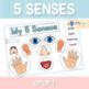 Image result for My 5 Senses Crafts