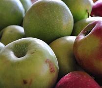 Image result for Types of Apple's for Eating