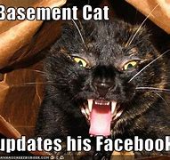 Image result for Basement Cat Meme