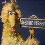 Image result for Sesame Street Big Bird Foot