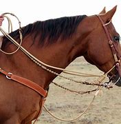 Image result for Horse Reins and Bits