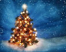 Image result for Christmas Pic HD