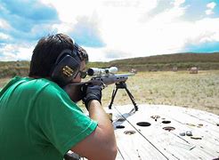 Image result for 17 Caliber Rifle