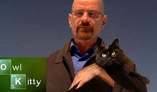 Image result for Walter White Cat Meme